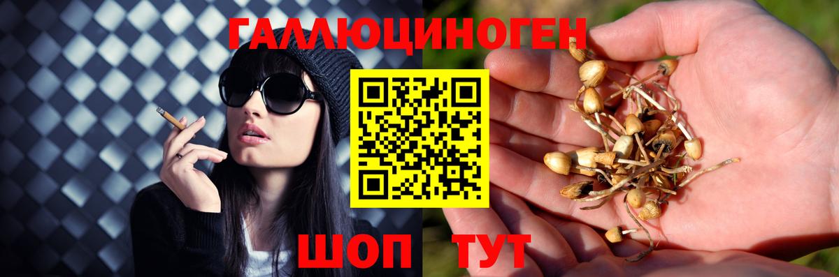 Аргун  Галлюциногенные грибы мицелий  Вход с VPN 